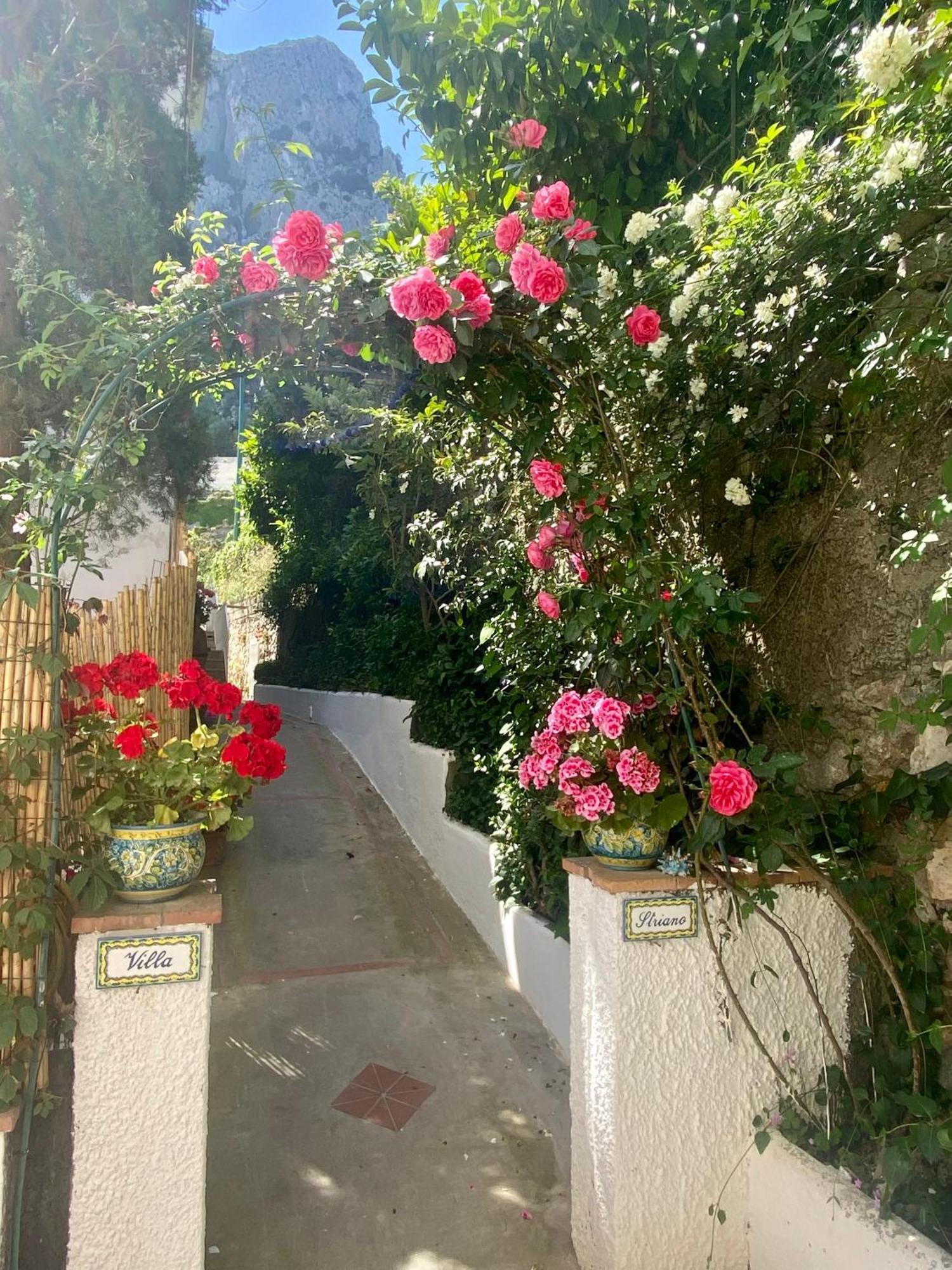 Villa Striano Boutique Капри Экстерьер фото