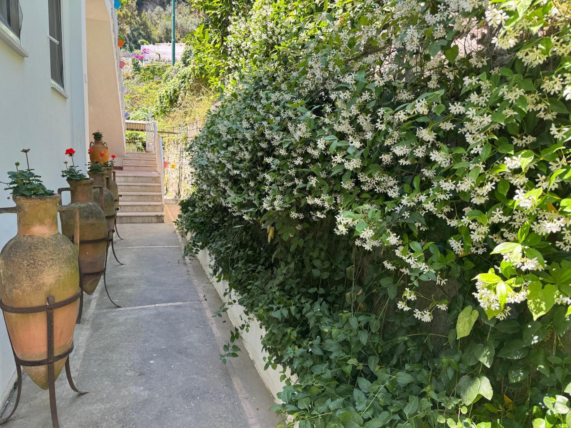Villa Striano Boutique Капри Экстерьер фото