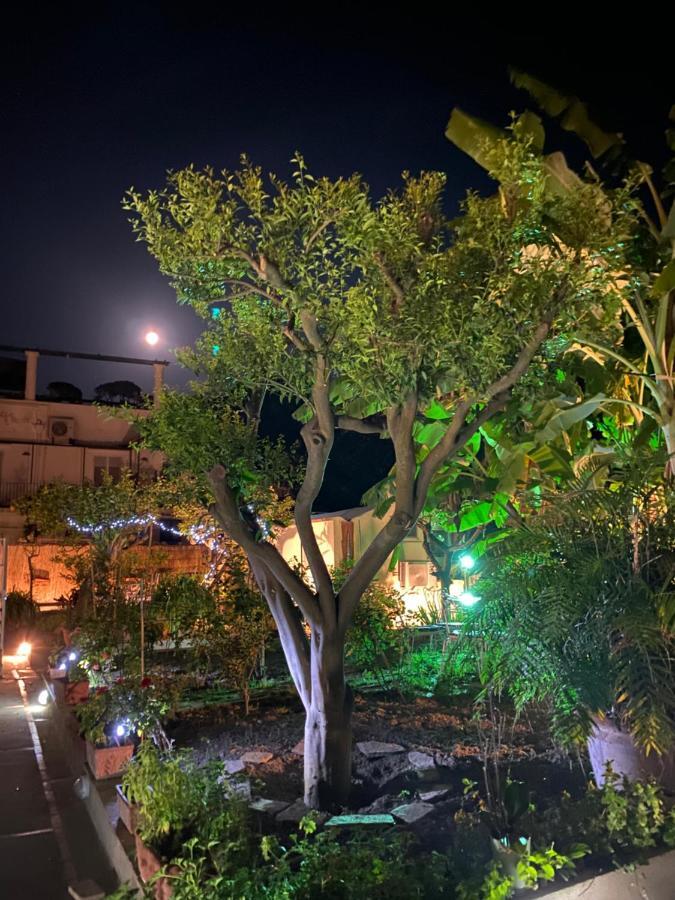 Villa Striano Boutique Капри Экстерьер фото